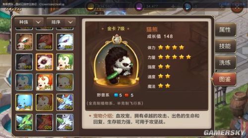 魔力宝贝手游怎么样鉴定装备属性-魔力宝贝手游12级武器多少评分？