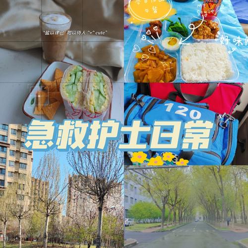 【怀旧服】护士专属急救成功率测试-怀旧服大师级急救需要几级？